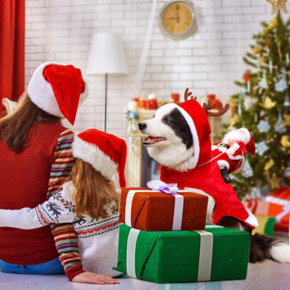 Kerst Hondenkostuum met Santa Rider – Schattige Feestoutfit voor Honden