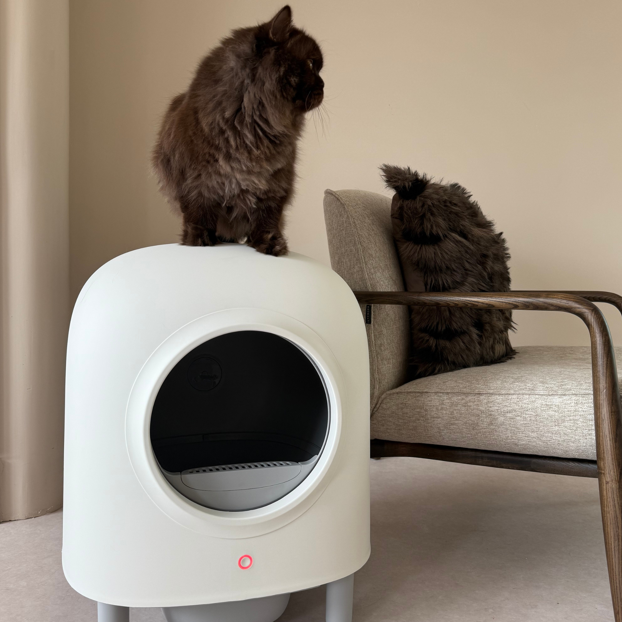 Moderne Gesloten Kattenbak met Compact & Stijlvol Design