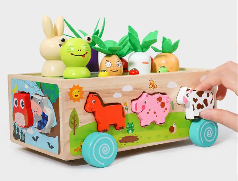 Houten Montessori Karotten Steckspel voor Kinderen 1-3 Jaar-mezamstore.nl