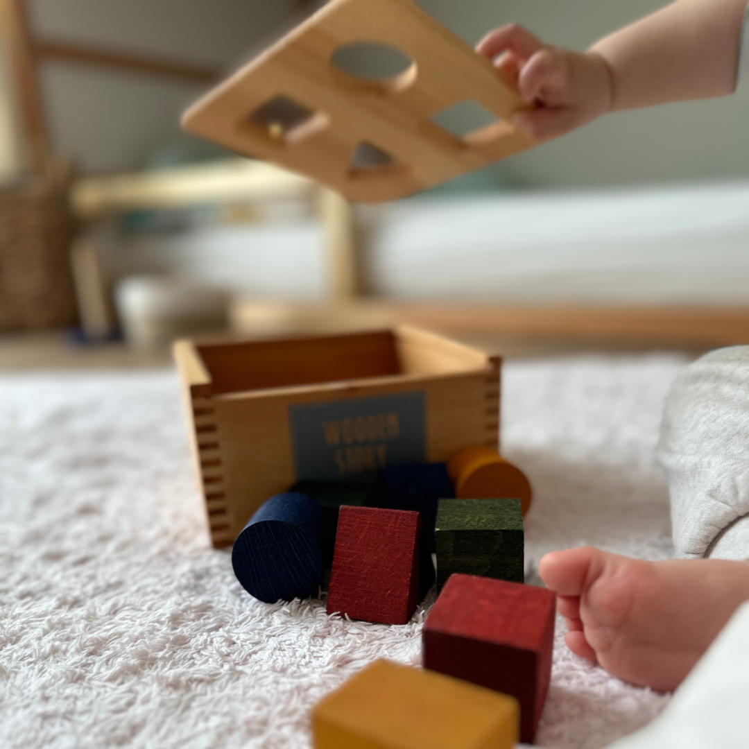Houten Sortierbox voor Kinderen | Educatief Speelgoed met Vormen en Kleuren-mezamstore.nl