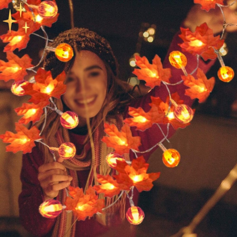 Herfstbladeren LED Lichterkette 6 Meter met 40 Warmwitte Lichten voor Gezellige Sfeer-mezamstore.nl