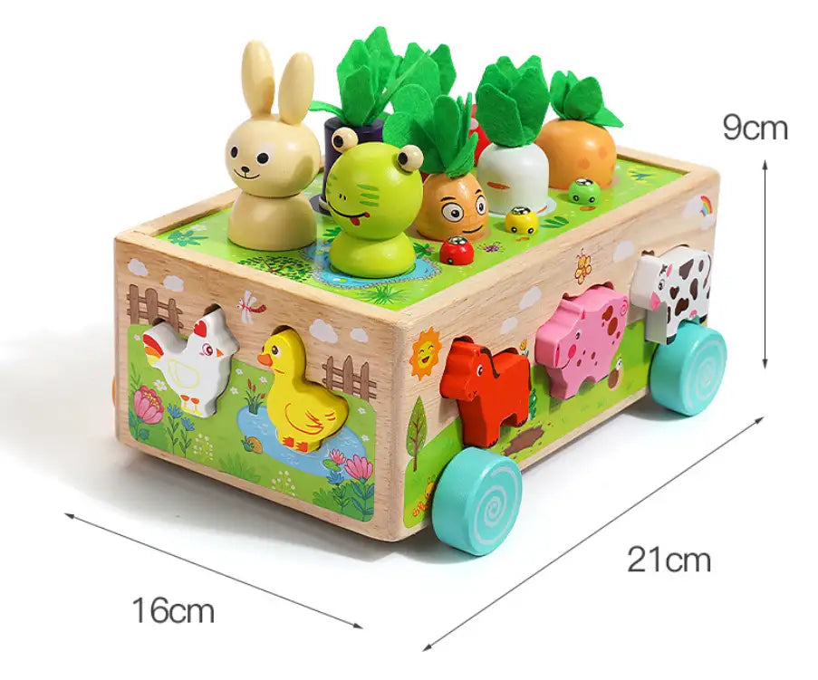 Houten Montessori Karotten Steckspel voor Kinderen 1-3 Jaar-mezamstore.nl