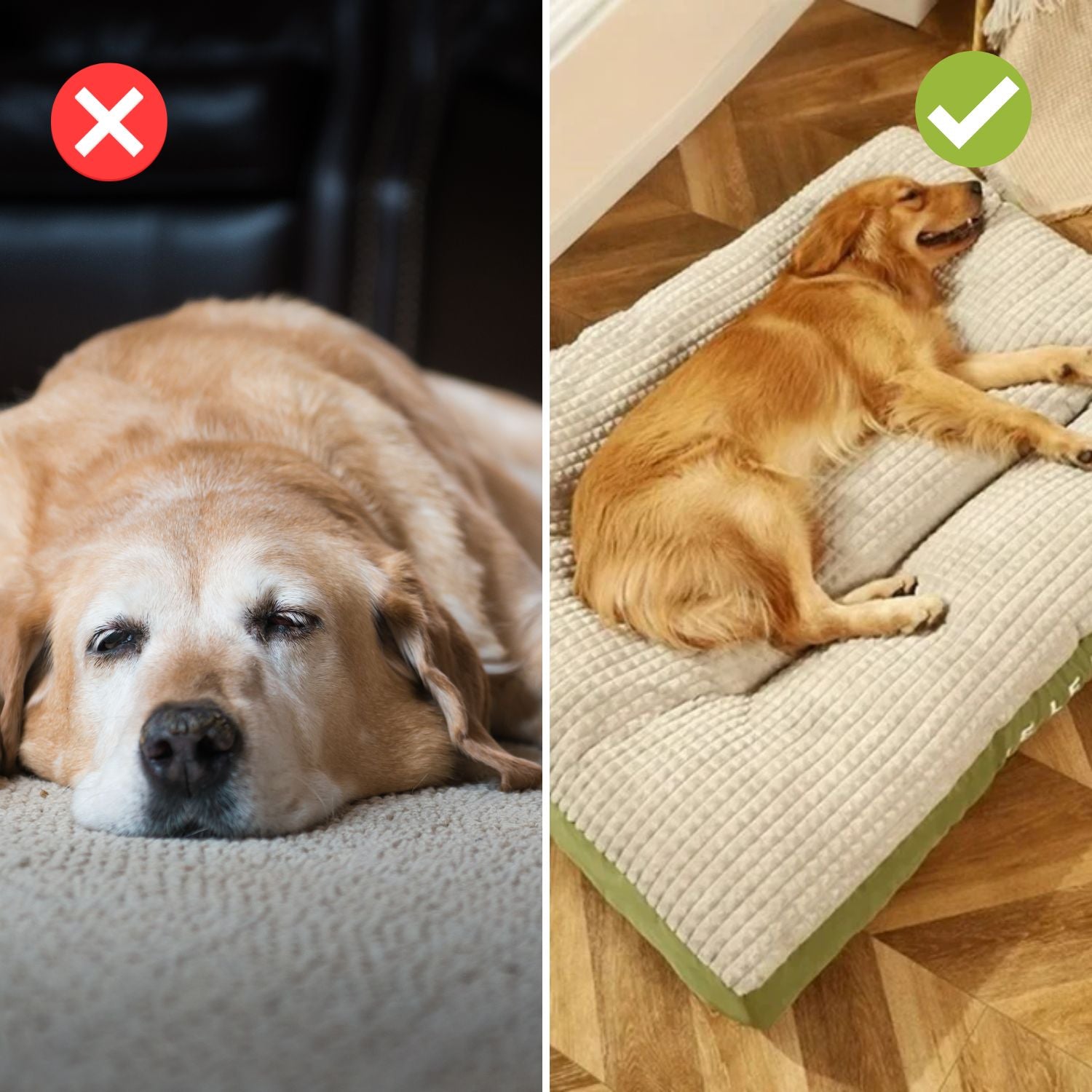 Luxe Hondenmand met Verhoogde Randen – Comfortabel Bed voor Honden