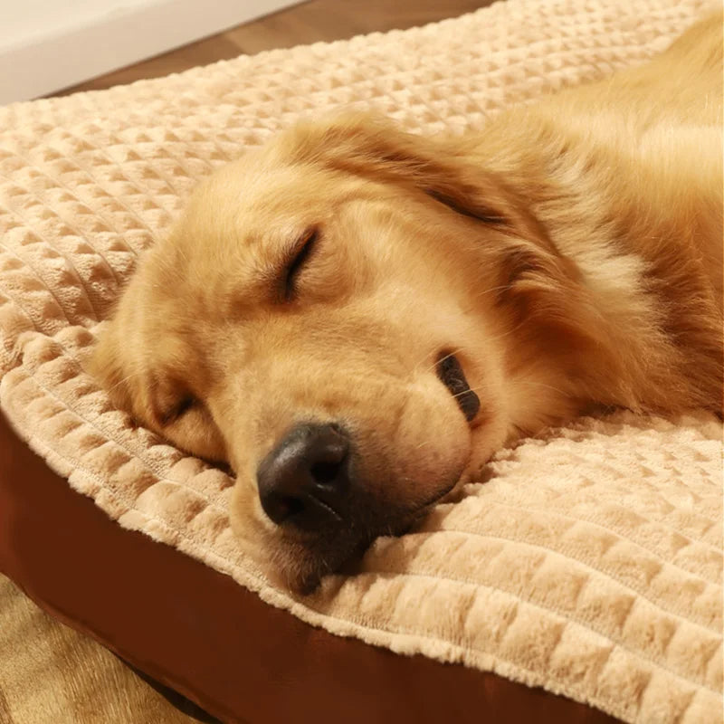 Luxe Hondenbed – Comfortabel, Ondersteunend en Duurzaam