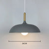 Moderne Scandinavische Eikenhouten LED Plafondlamp
