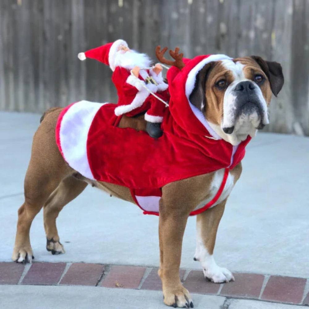 Kerst Hondenkostuum met Santa Rider – Schattige Feestoutfit voor Honden