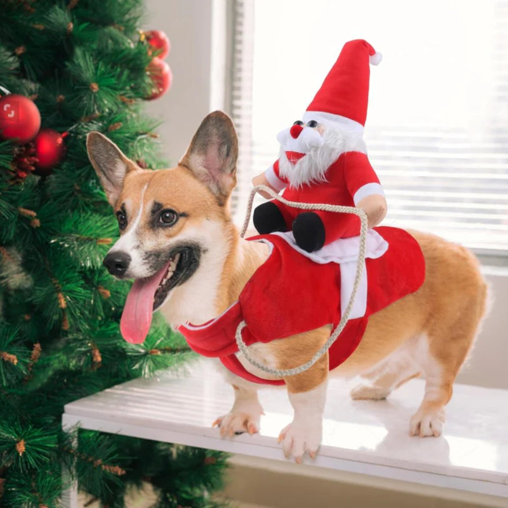 Kerst Hondenkostuum met Santa Rider – Schattige Feestoutfit voor Honden