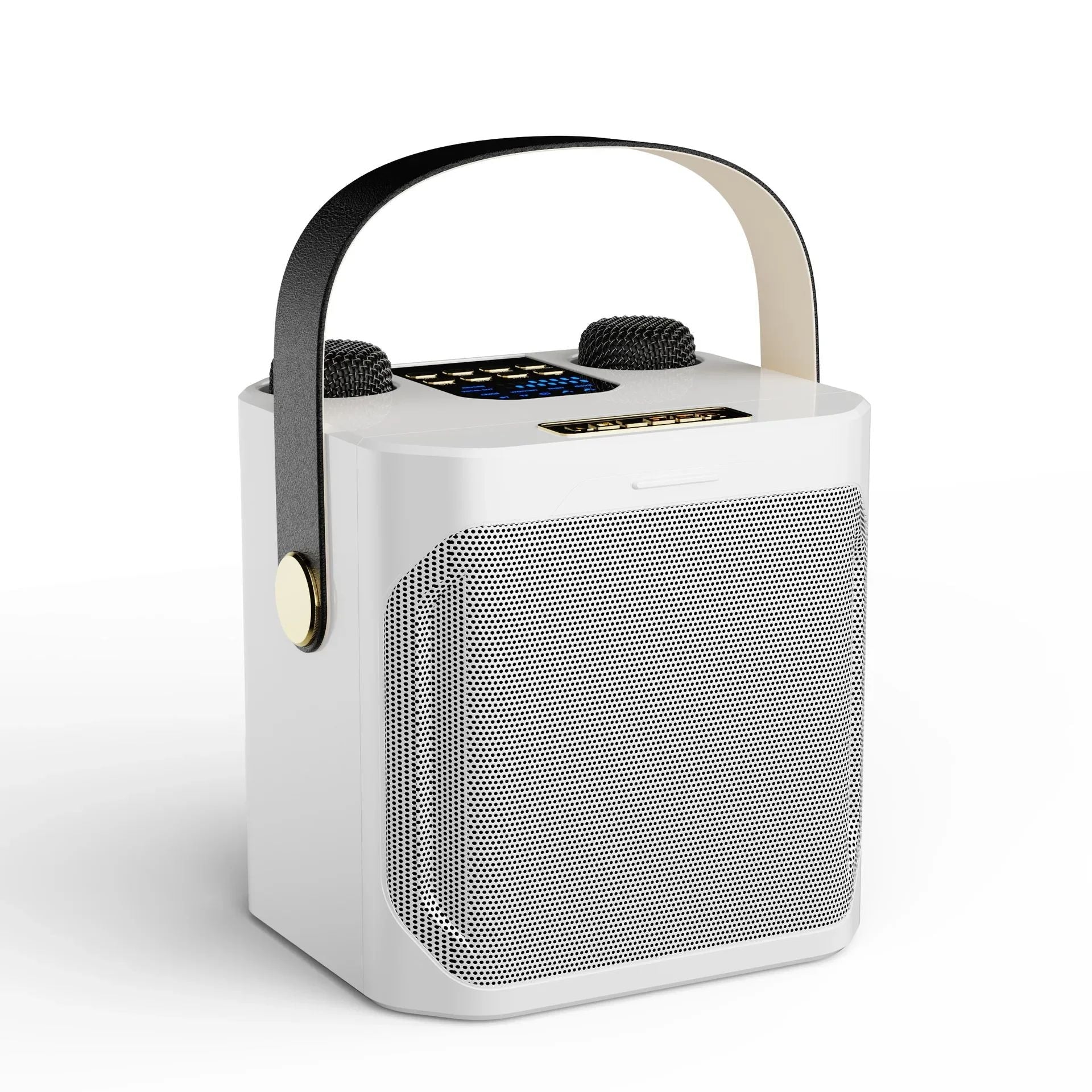 Draagbare Karaoke Bluetooth Luidspreker met 360° Surround en Subwoofer