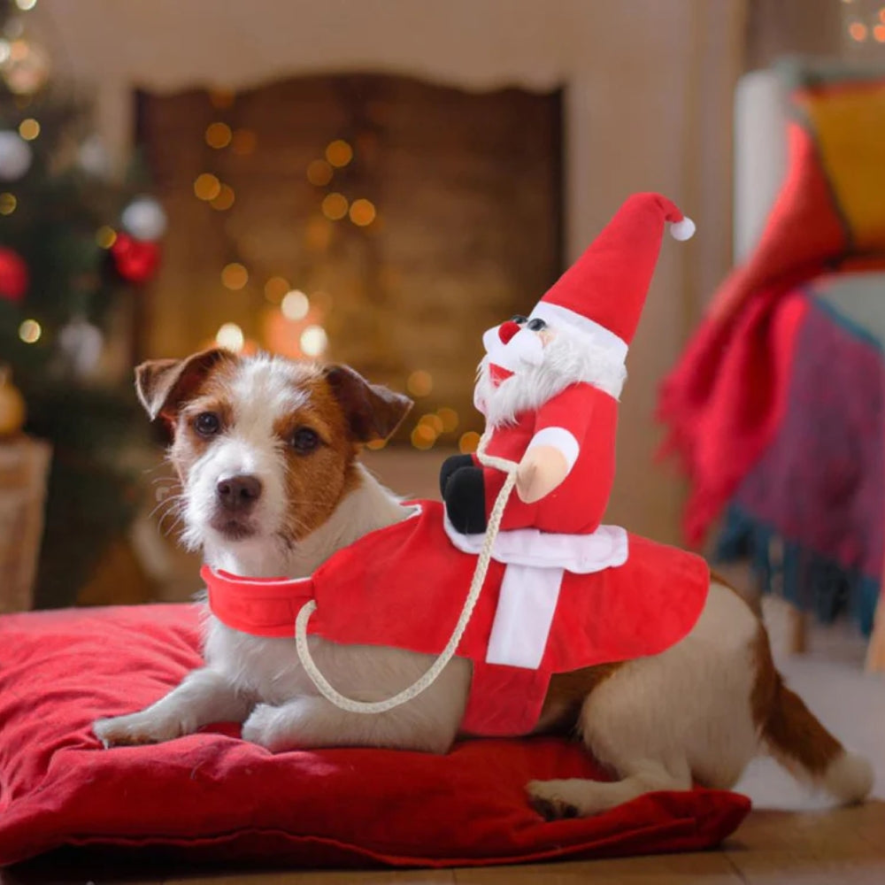 Kerst Hondenkostuum met Santa Rider – Schattige Feestoutfit voor Honden