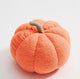 Neon Oranje