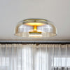 Elegante LED Plafondlamp van Glas en Metaal