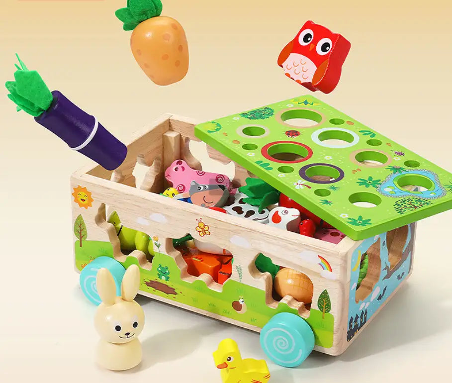 Houten Montessori Karotten Steckspel voor Kinderen 1-3 Jaar-mezamstore.nl