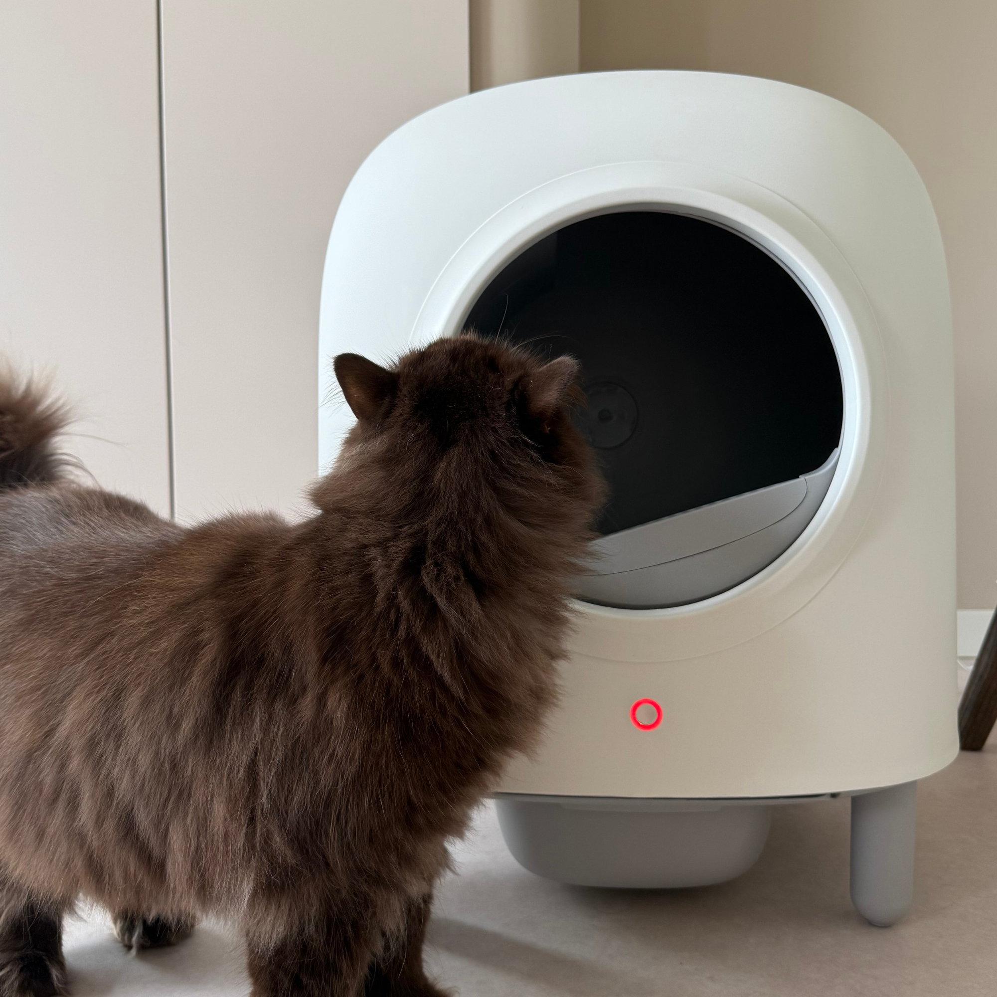 Moderne Gesloten Kattenbak met Compact & Stijlvol Design